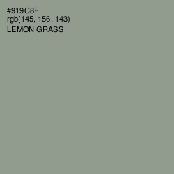 #919C8F - Lemon Grass Color Image